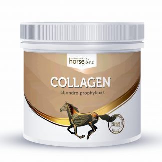 kolagen dla koni - czeski - podkowa - allegro
